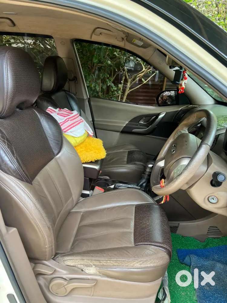 Xuv 500 White Coler