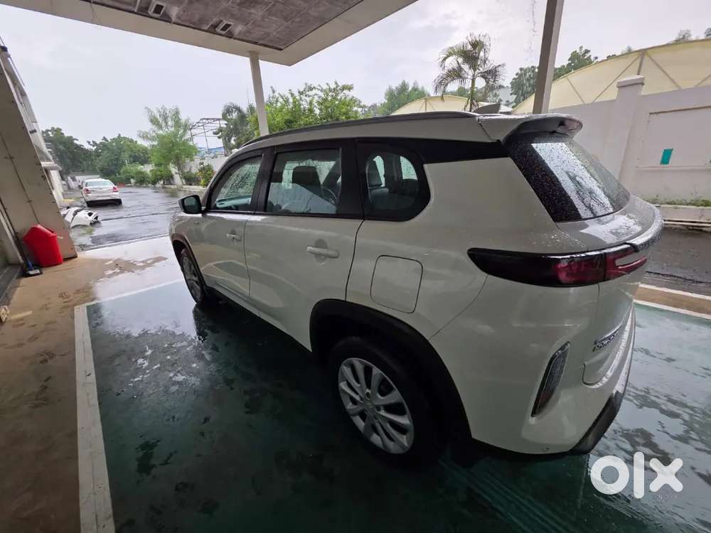 Toyota Urban Cruiser 2024
