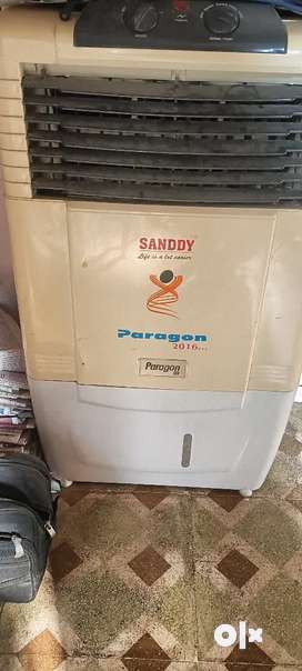 Sanddy air store cooler paragon price