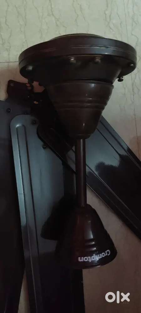 Celling Fan