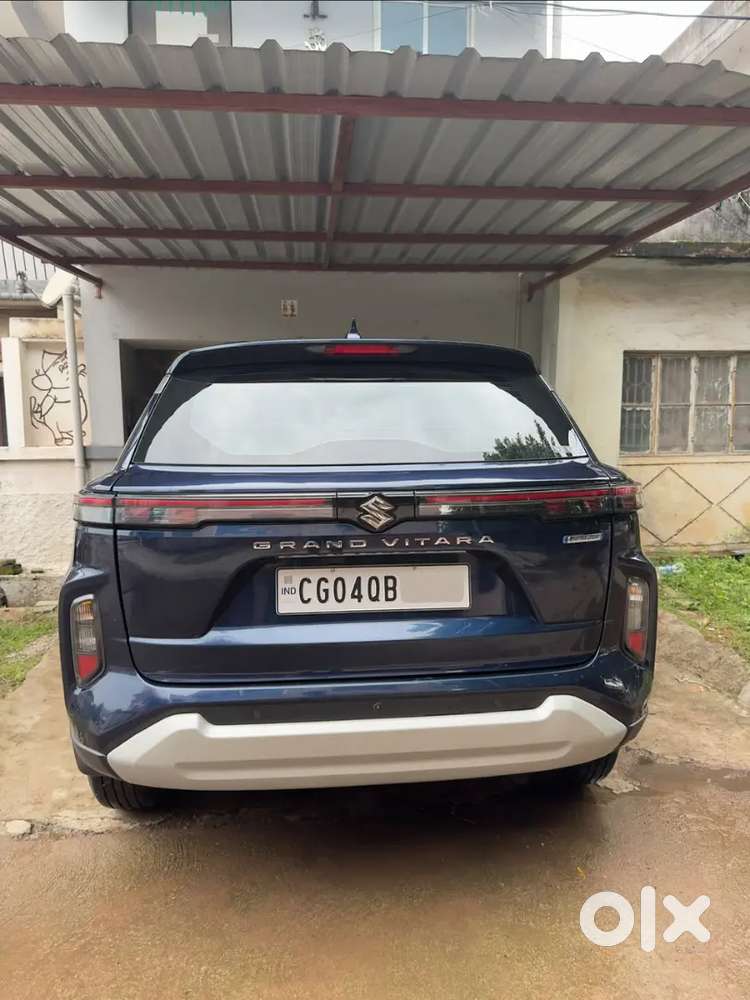 Maruti Suzuki Grand Vitara E20 Fuel