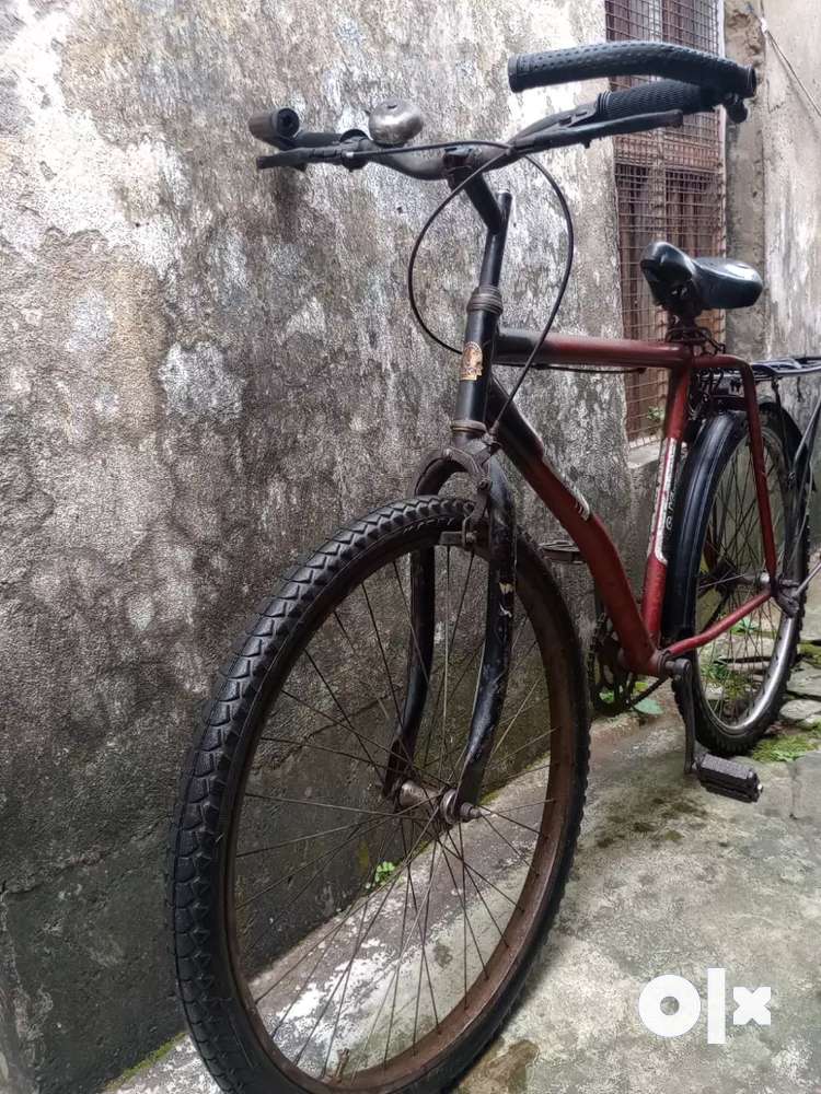 Cycle old online olx