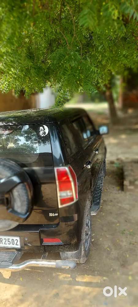 Condition Is Very Good