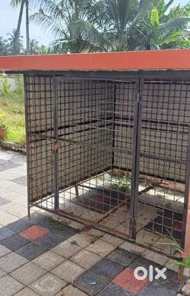 Dog kennel for sale olx best sale