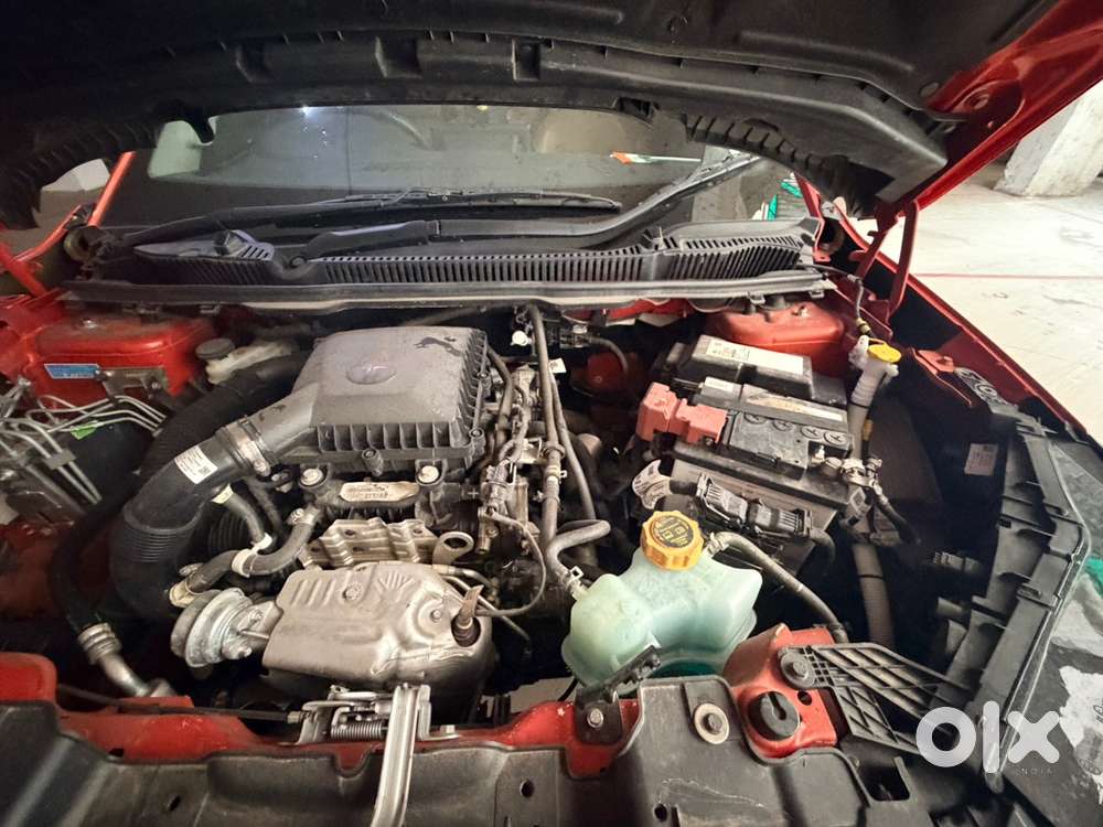 Tata Curvv 2025 Petrol Well Maintained