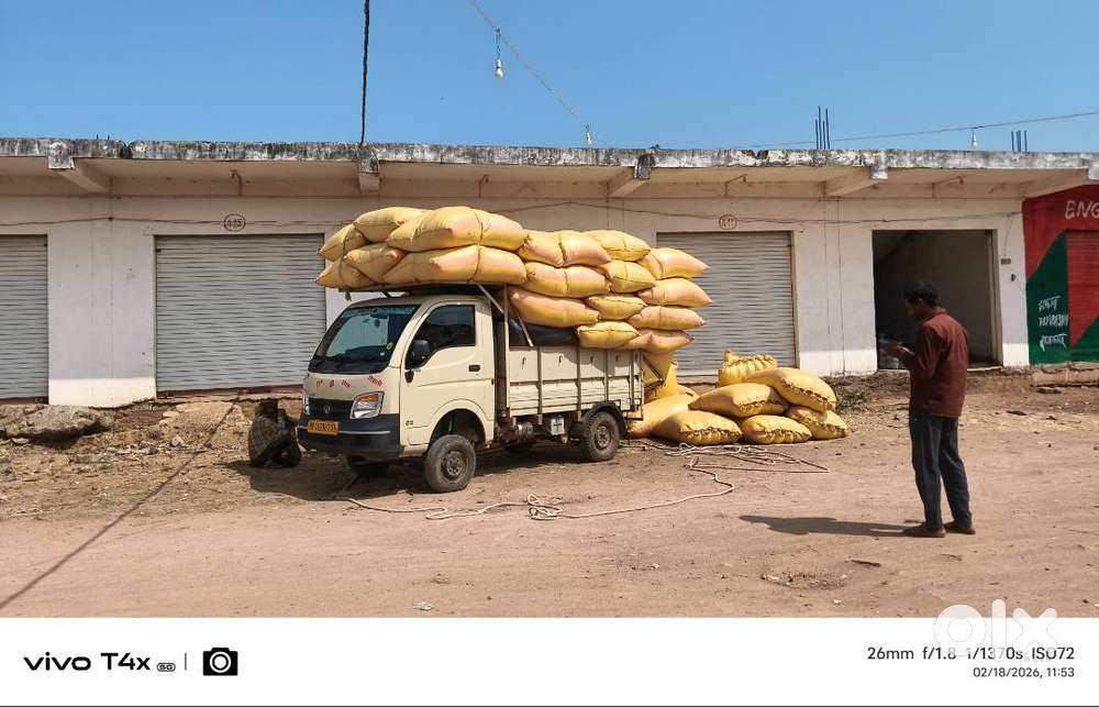 Brand Tata Model Ace Gold Petrol Age 2year