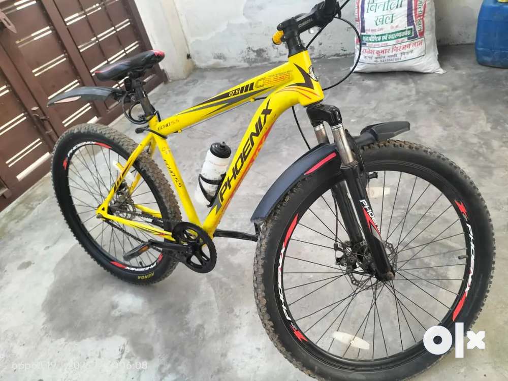 Phoenix cycles under clearance 10000