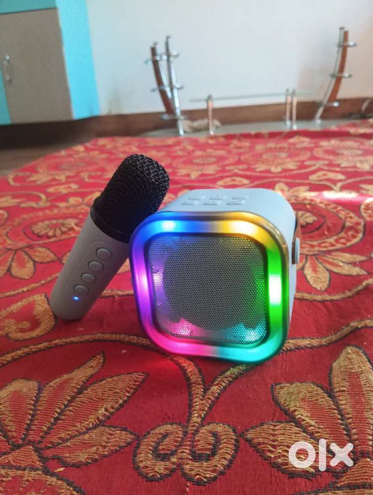 Speaker and mic