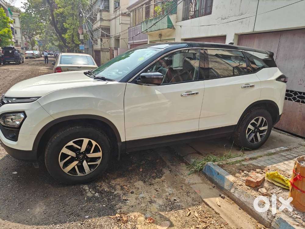 Harrier In Excellent Condition For Sale