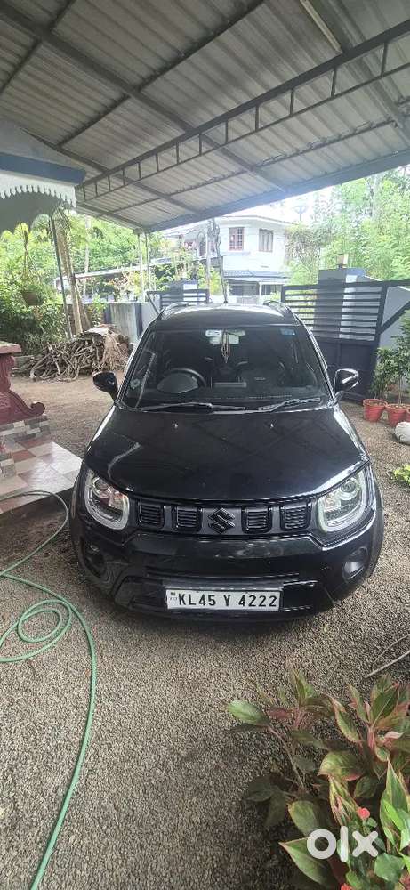 Maruti Suzuki Ignis Alpha 2025