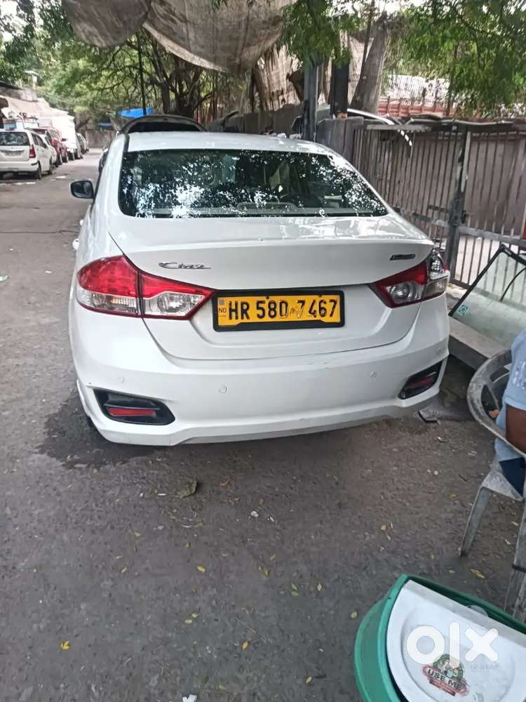 Maruti Suzuki Ciaz 2024 Cng & Hybrids Well Maintained