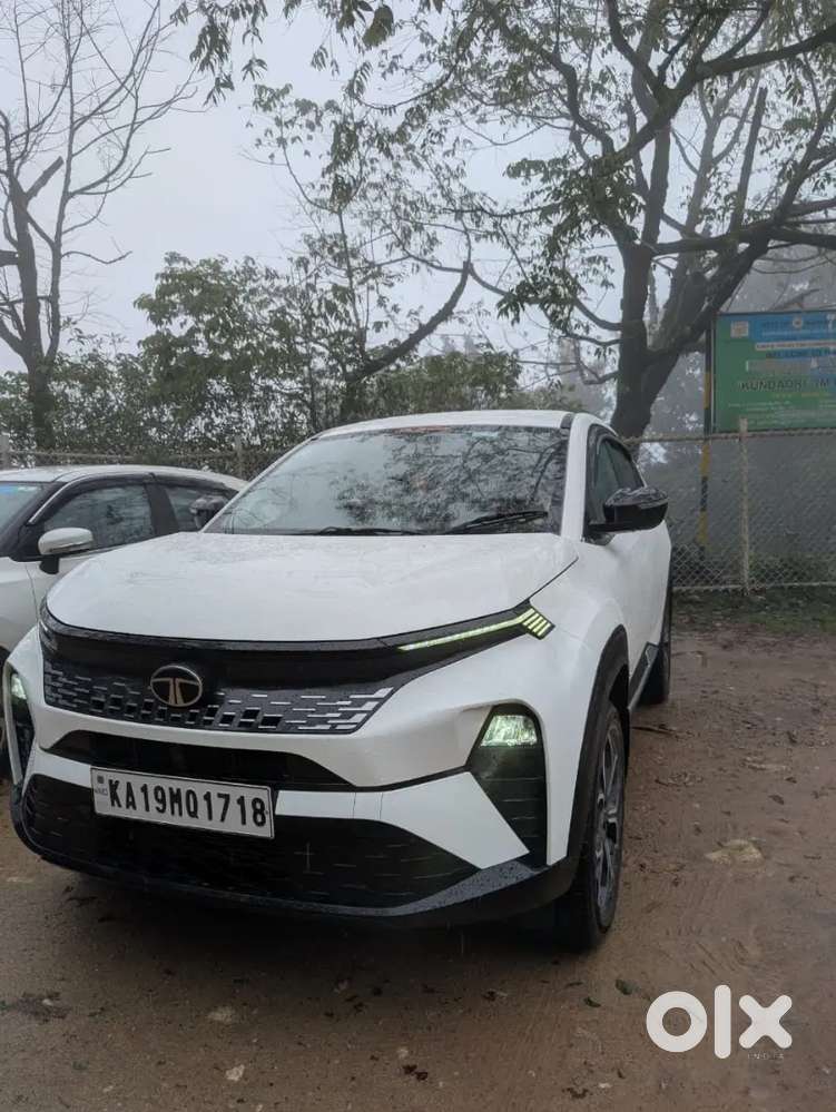 Tata Curvv 2024 Diesel Well Maintained