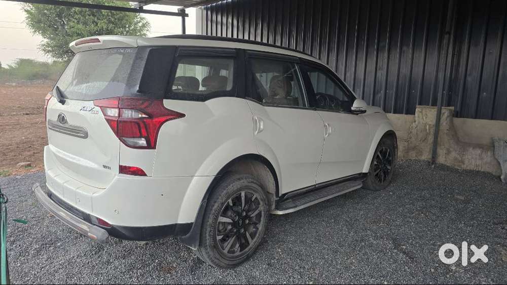 2019 Model