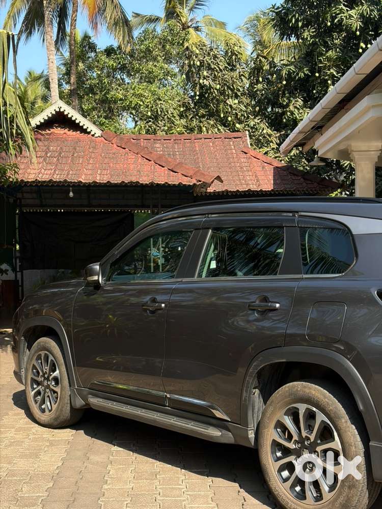 Maruti Suzuki Grand Vitara 2023 Petrol 17500 Km Driven