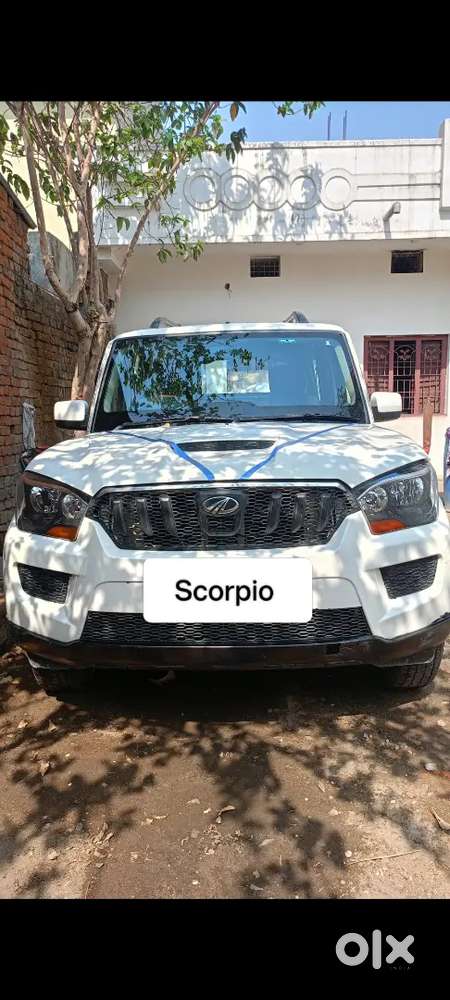 New Car Parches