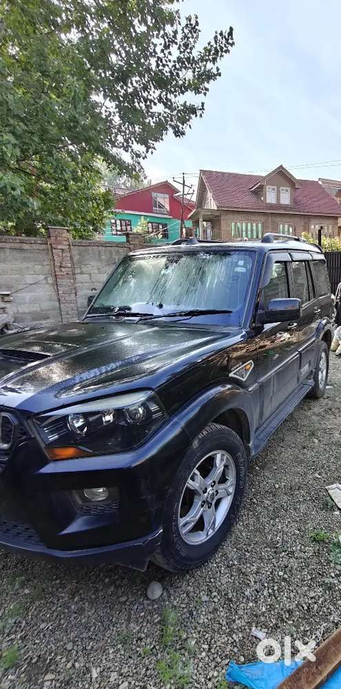 Black Beast Scorpio S10 In Top Notch Condition
