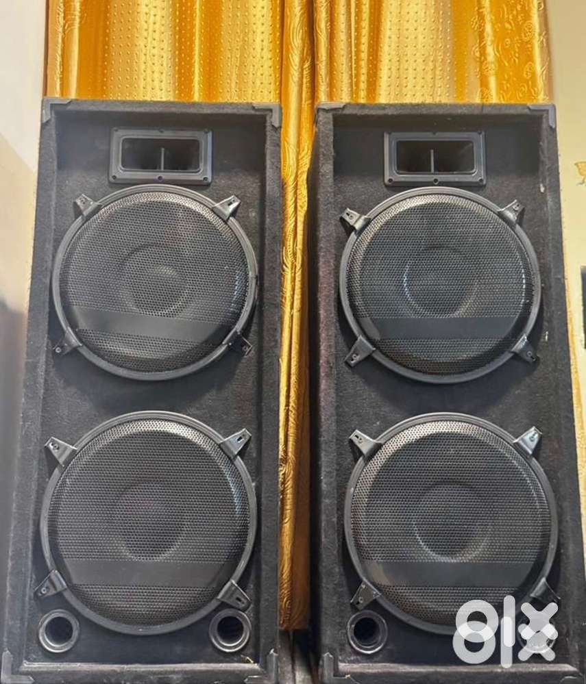 12inch spekar pair