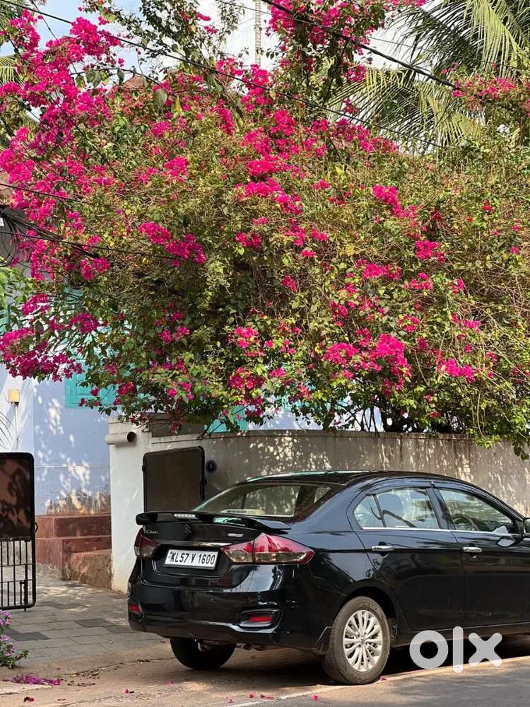 Register Vehicle
Km Run 45000
Single Owner 
Delta Variant Ciaz