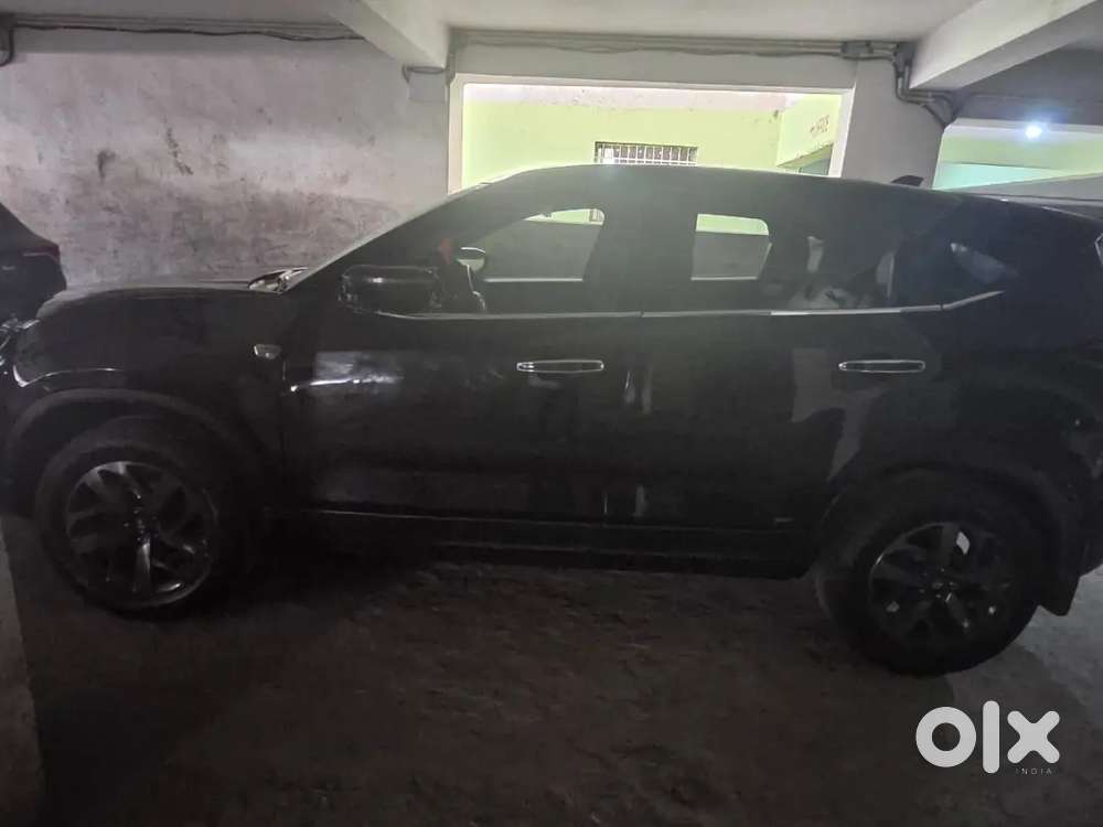 Harrier Mint Condition