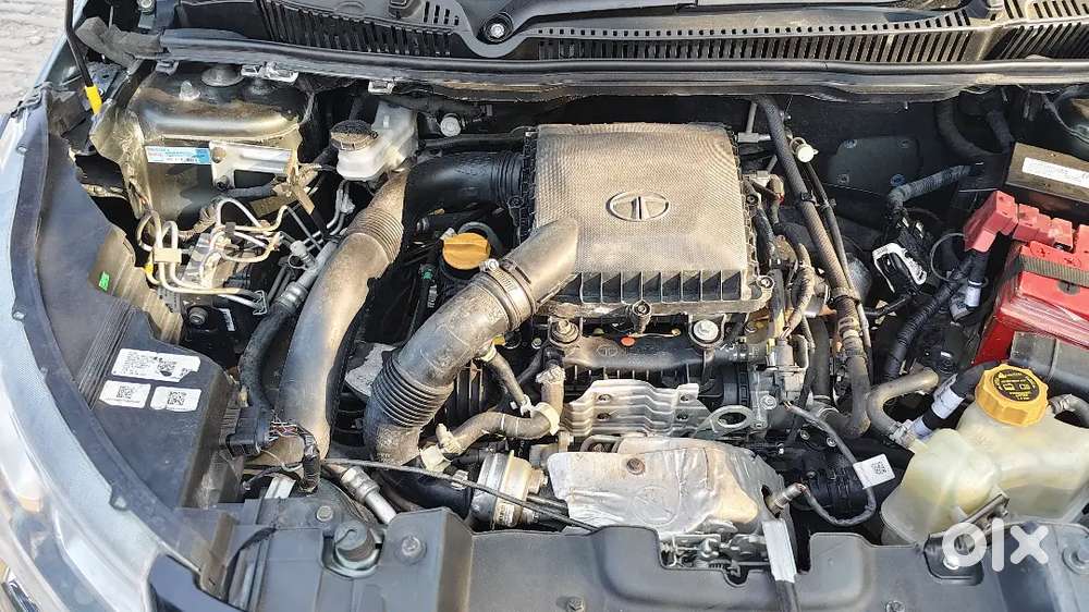 Tata Nexon 2022 Petrol 20000 Km Driven