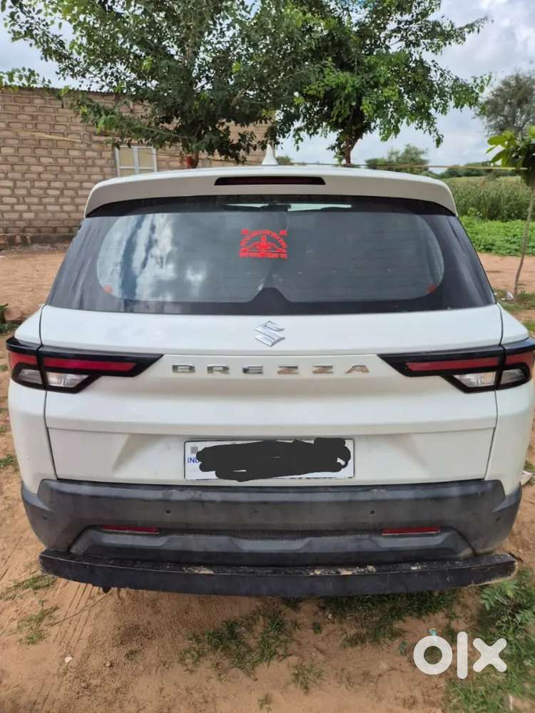 Bareja Car Orijnal Ek Dam