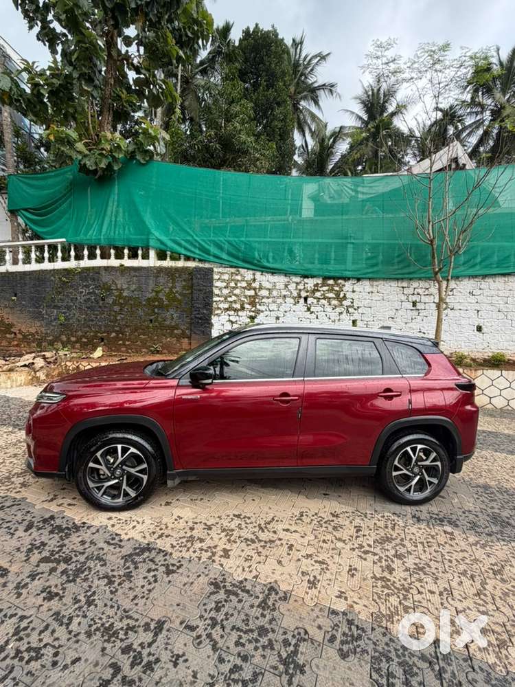 Toyota Urban Cruiser 2024