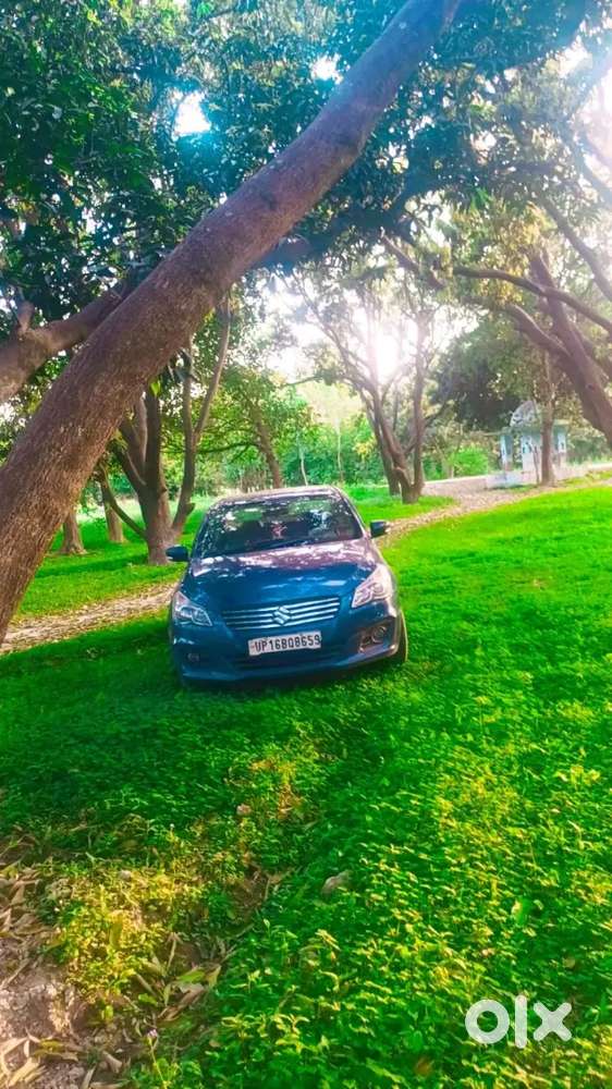 Maruti Suzuki Ciaz Delta 2017