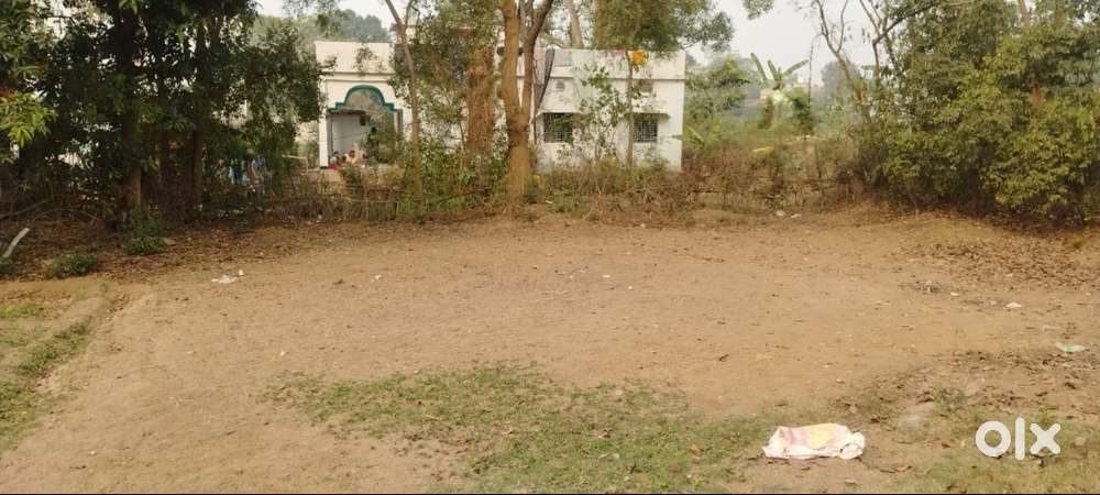 10 dismal plot, Dang Bargarh Near Sanskar International School