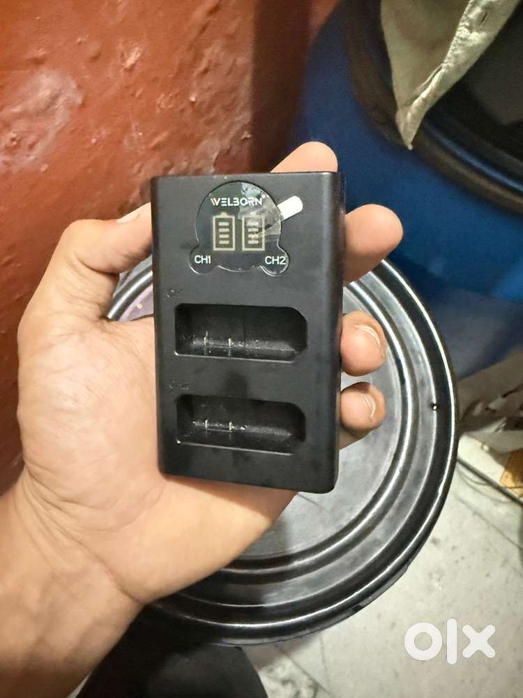 Battery charger