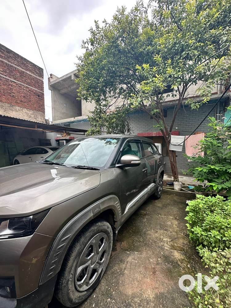 Maruti Brezza 2024 Year Model