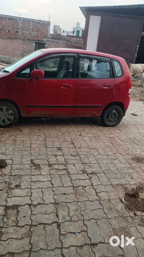 2009 Se 20029 Violet