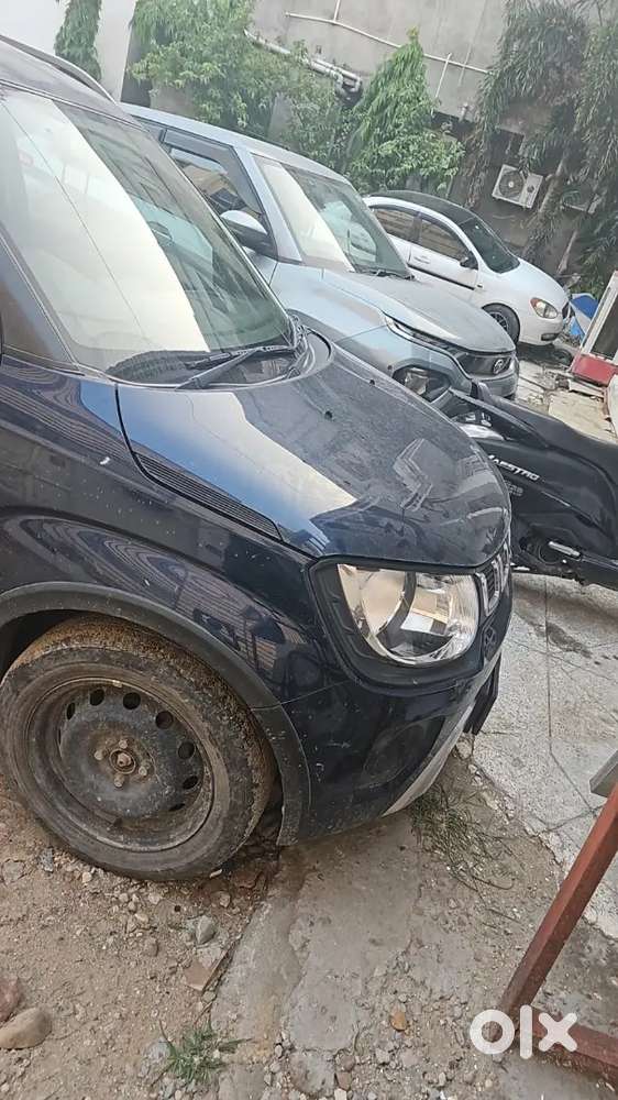 Maruti Suzuki Ignis 2023 Car