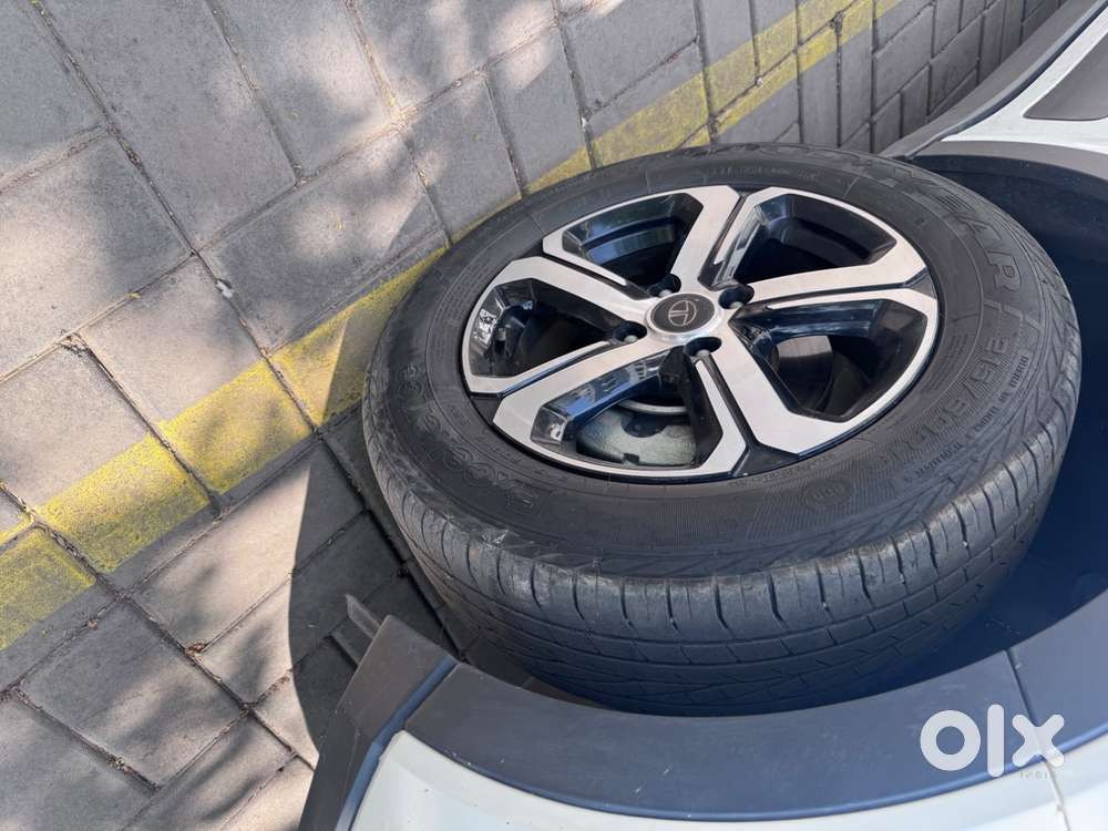 Beast With Cng Fitment
