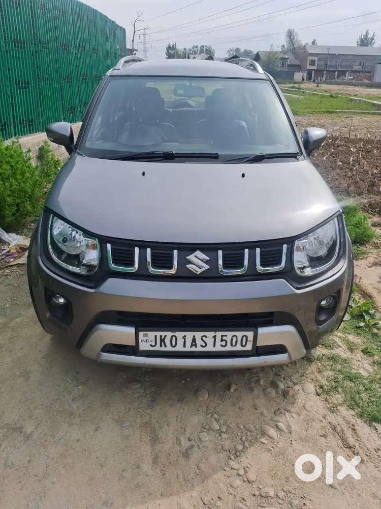 Ignus No Expenditure