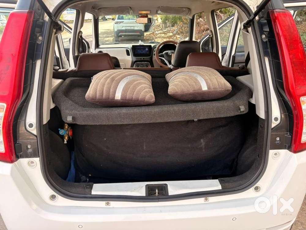 Maruti Suzuki Wagon R 2020 Cng And Petrol