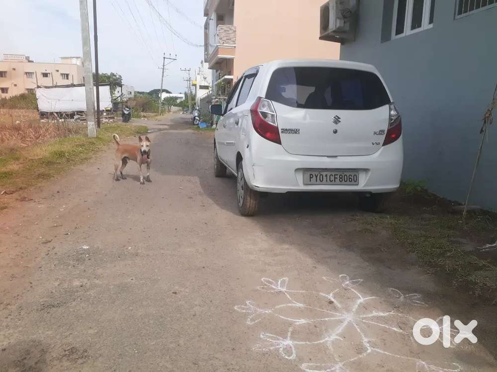 Maruti Suzuki Alto 2015 Manual Petrol