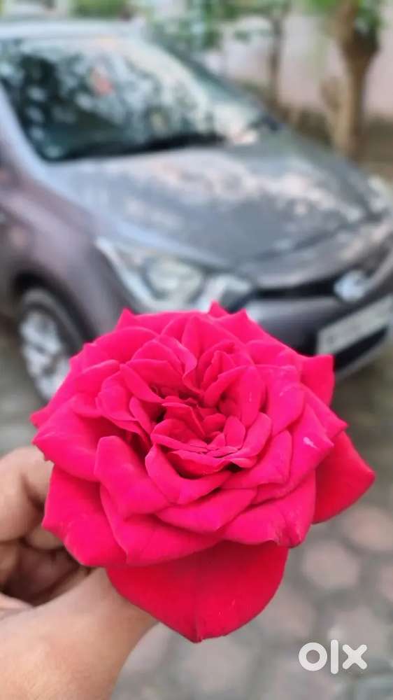 Hyundai I20 Enthusiast Maintained