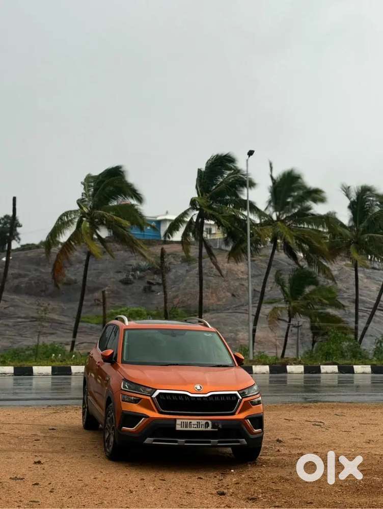 Skoda Kushaq 2021 Petrol 30060 Km Driven