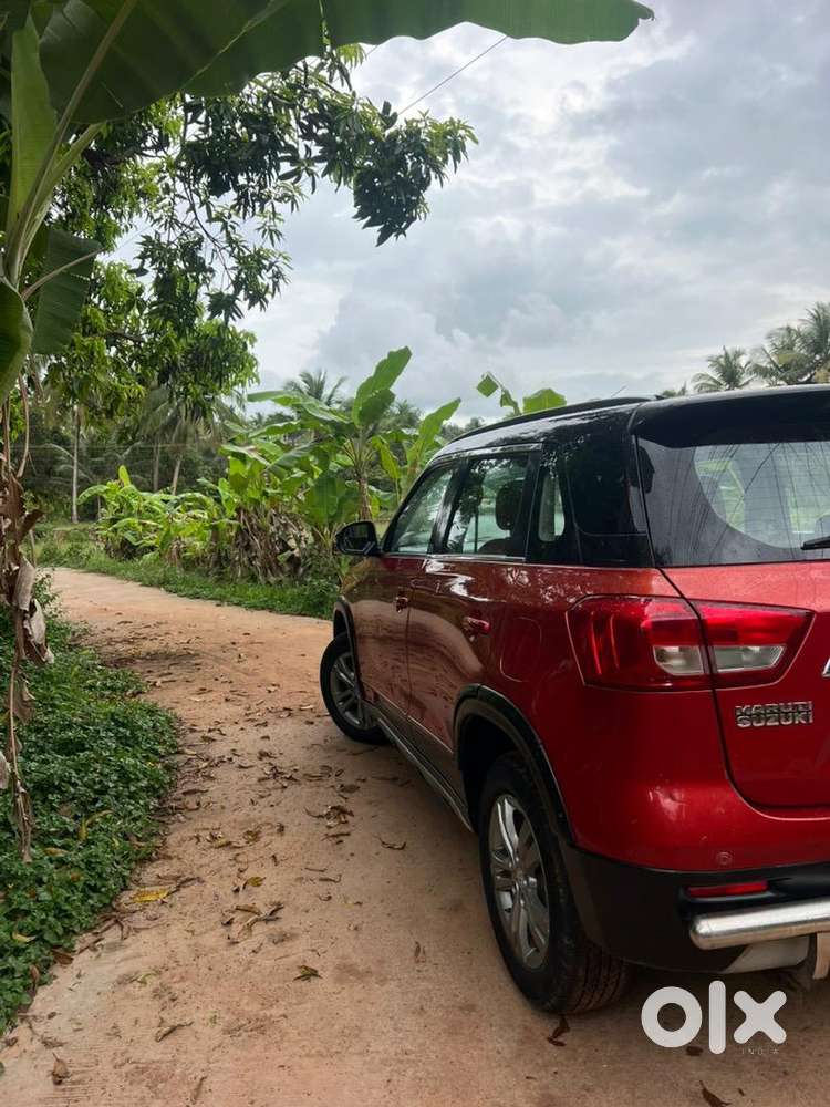 Maruti Suzuki Diesel 2016