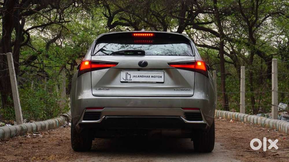 Lexus Nx Lexus-nx-300h-luxury, 2020, Petrol