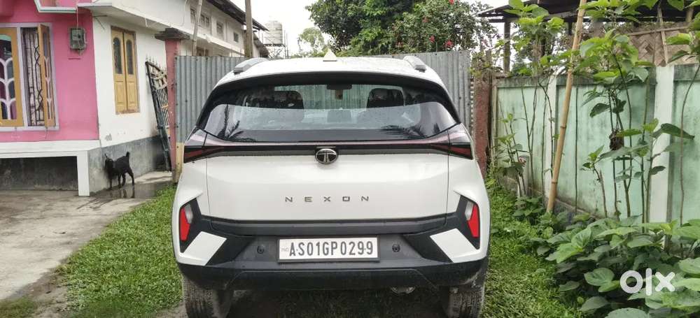 Tata Nexon Petrol 5 2026