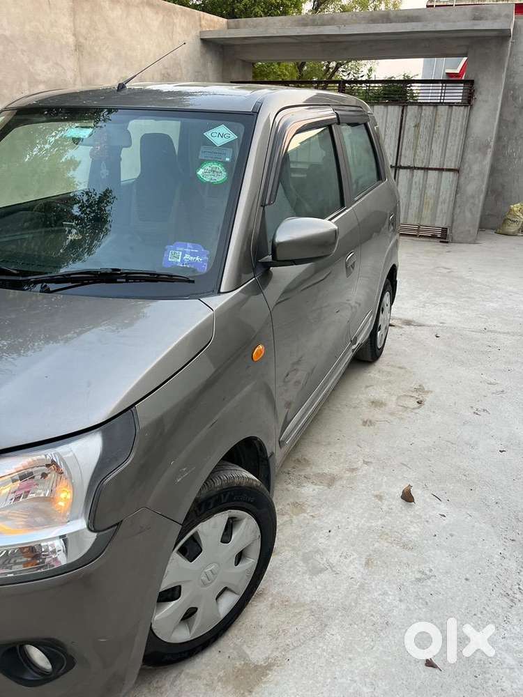 Maruti Suzuki 2023 Year