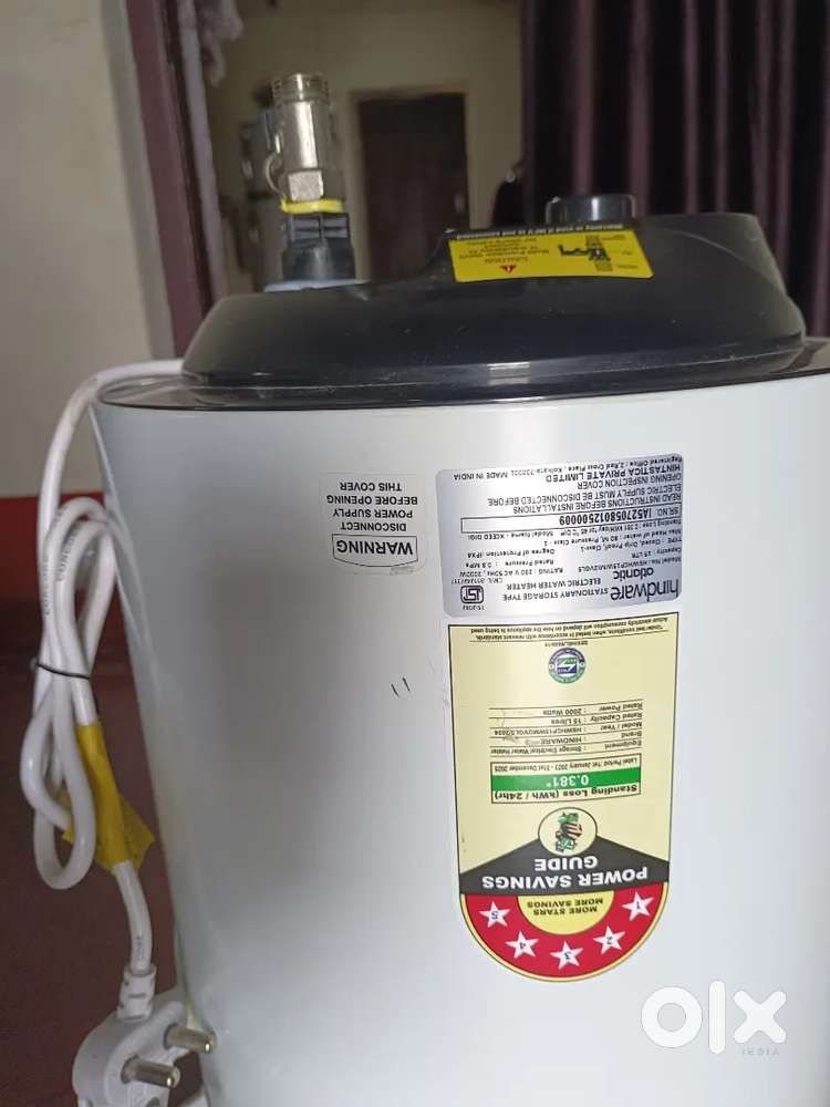 Electric geyser