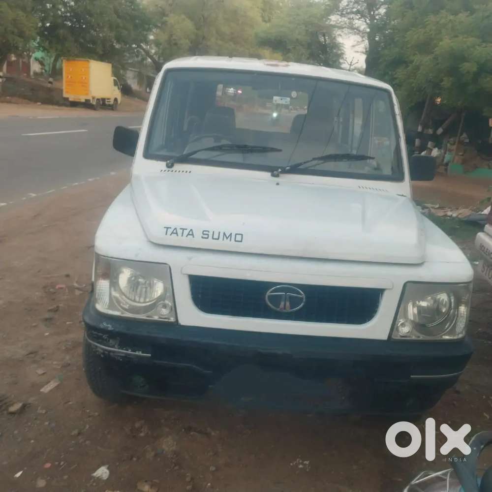 Sumo For Sale