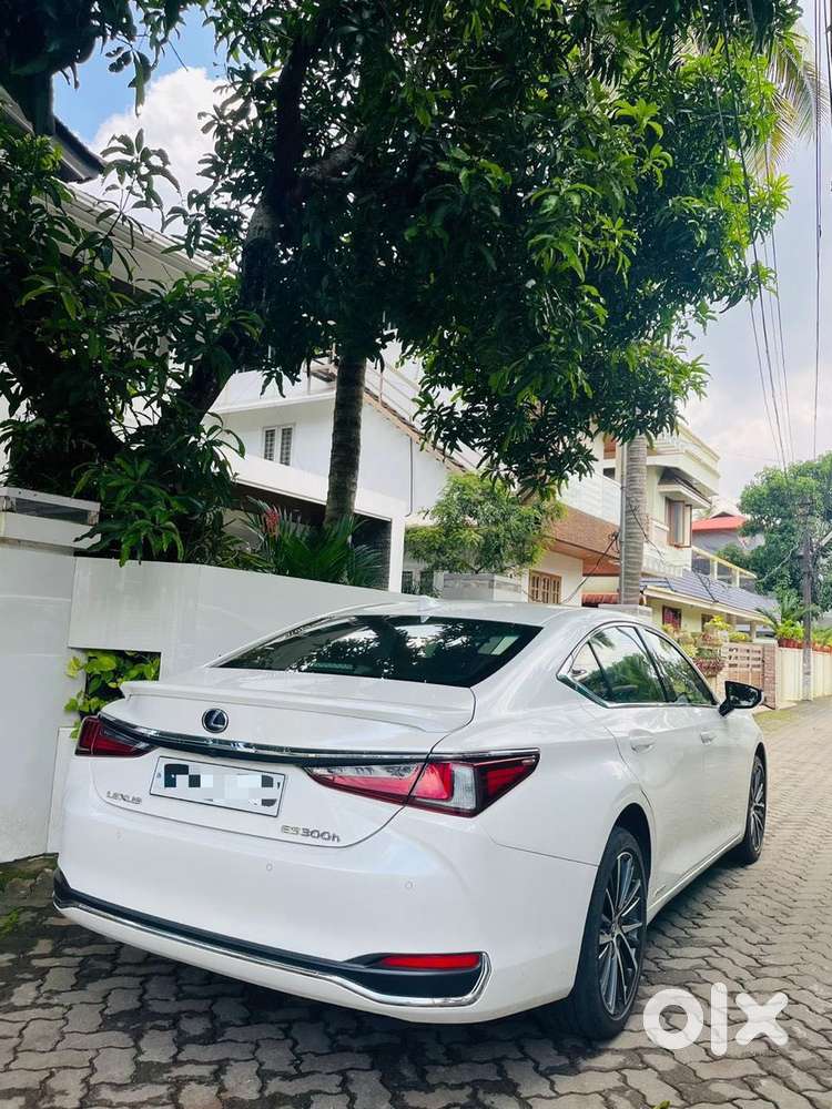 Lexus Es 300h Luxury, 2021, Petrol