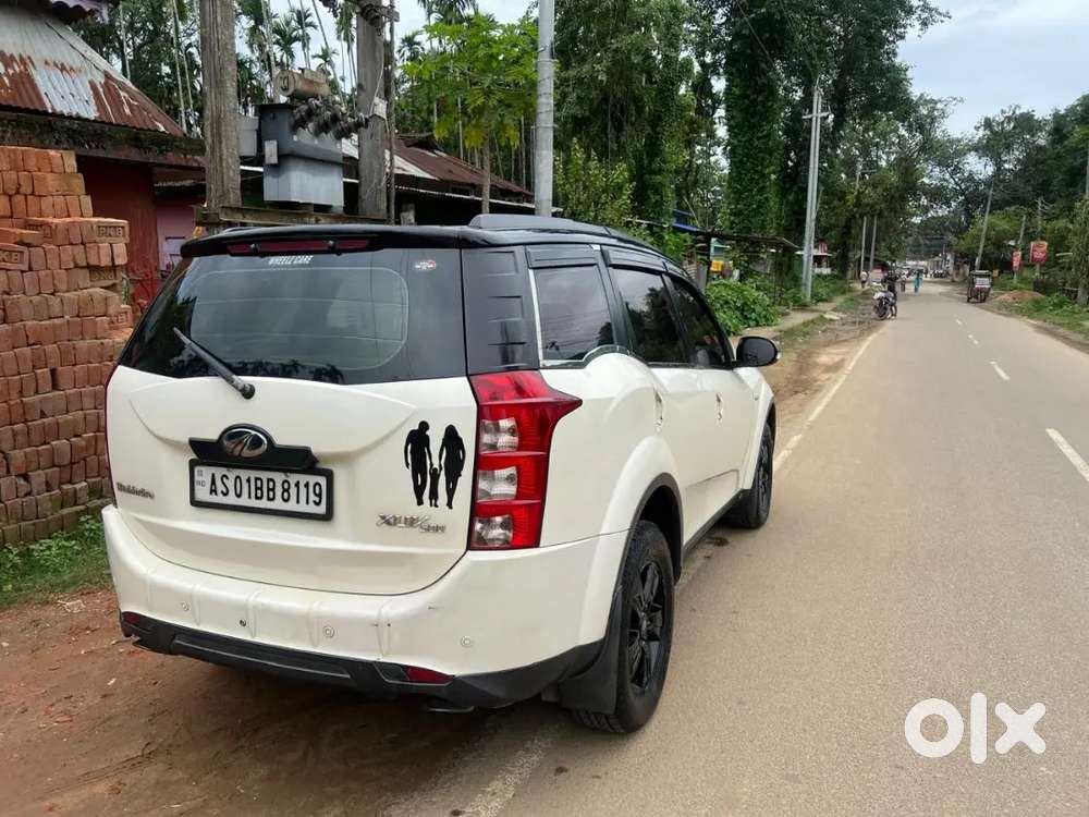 Xuv 500 White Coler