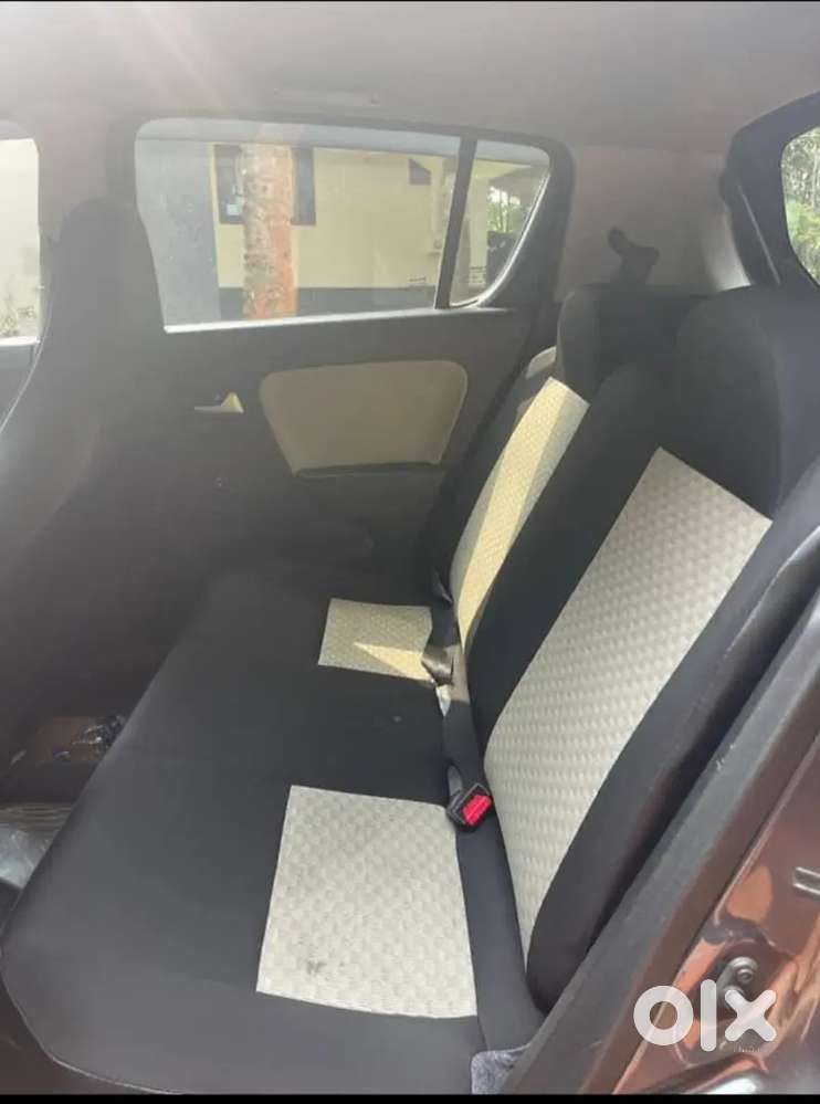 Alto 800 / 2019 Model 20 Registration