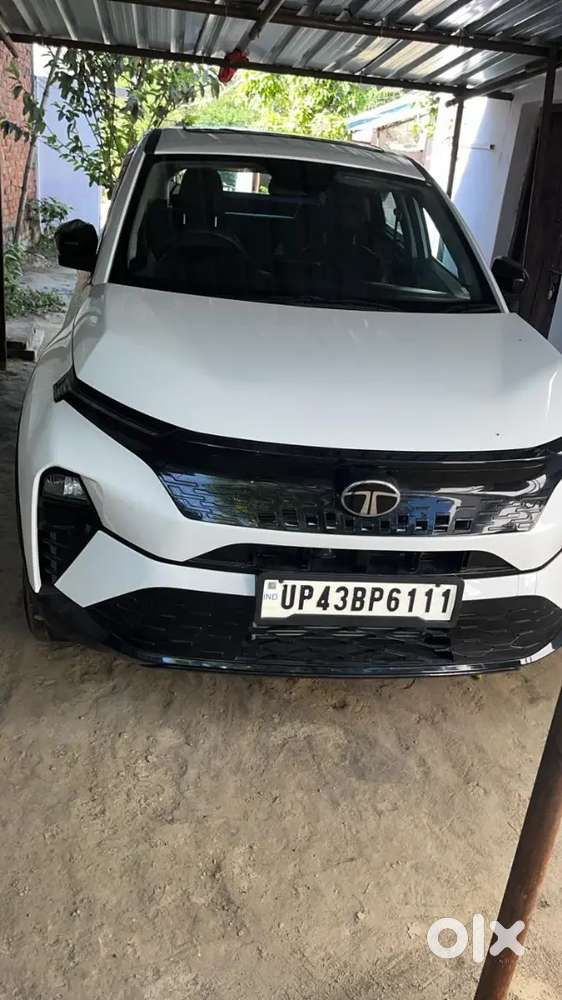 Tata Curvv 2025 Petrol 1650 Km Driven