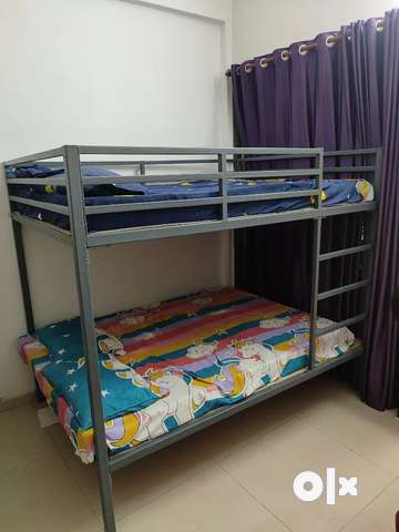 Olx sales bunk bed