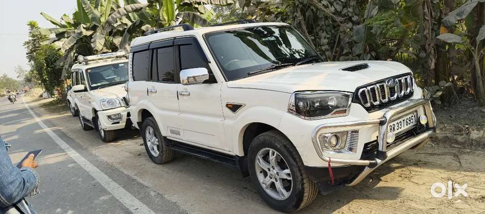 Scarpio S10